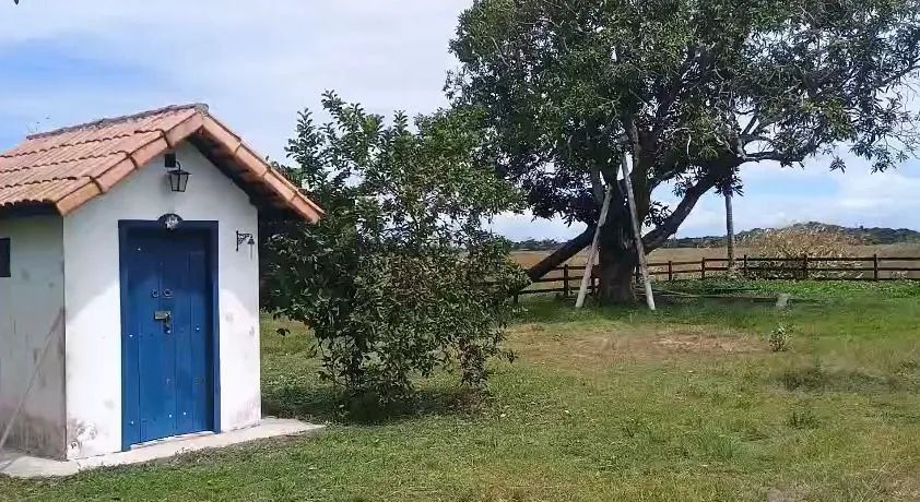 Fazenda à venda em Cachoeira do Arari - Foto 3