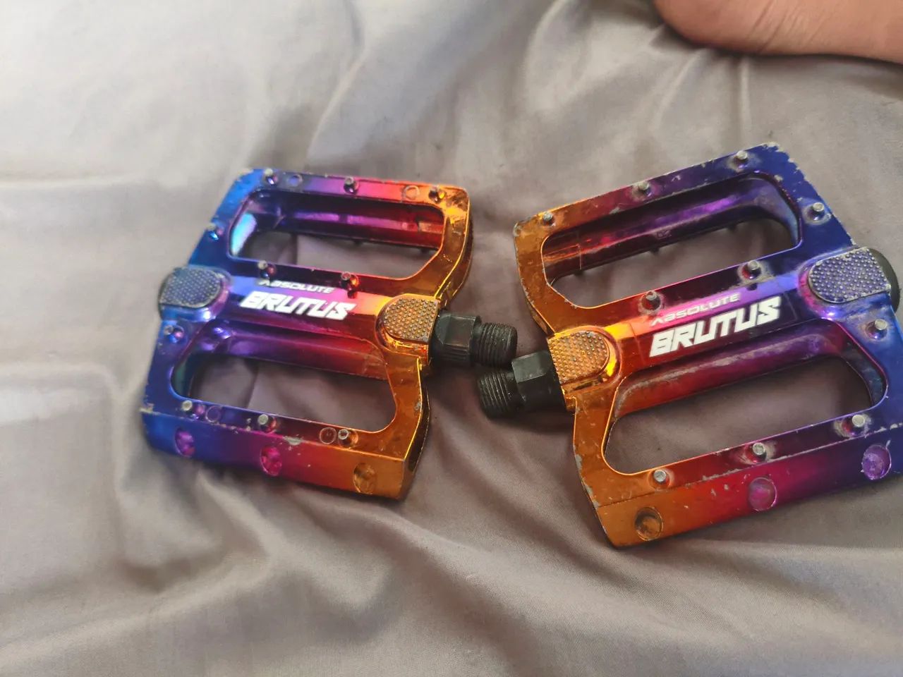 Pedal brutus 