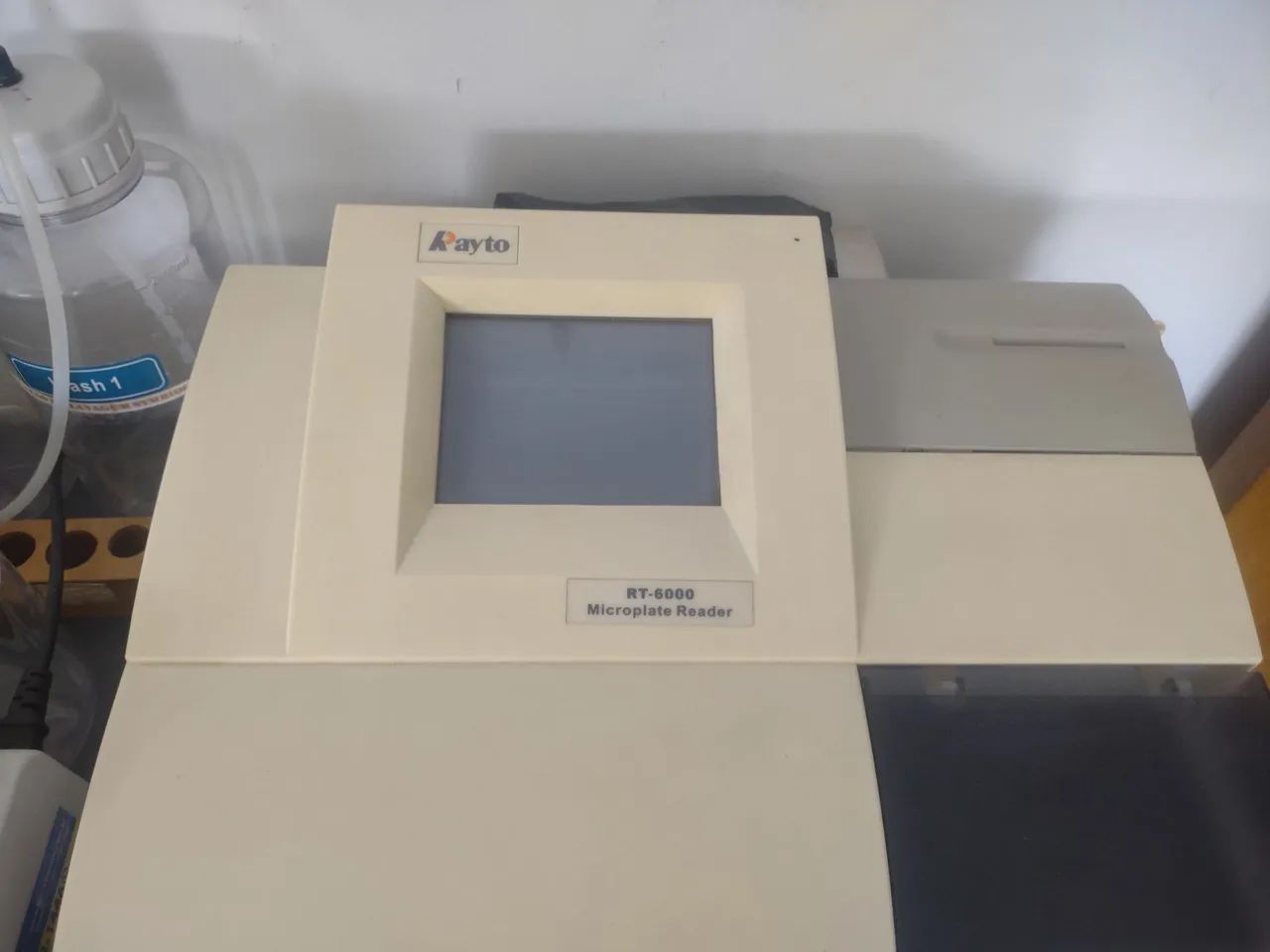 Leitora de Elisa 