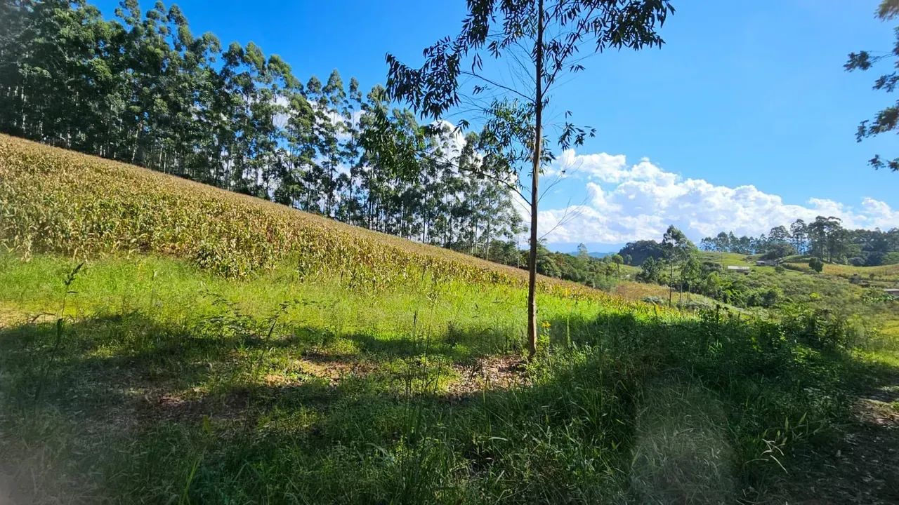 Sitio com linda vista em Anitápolis - SC - Foto 5