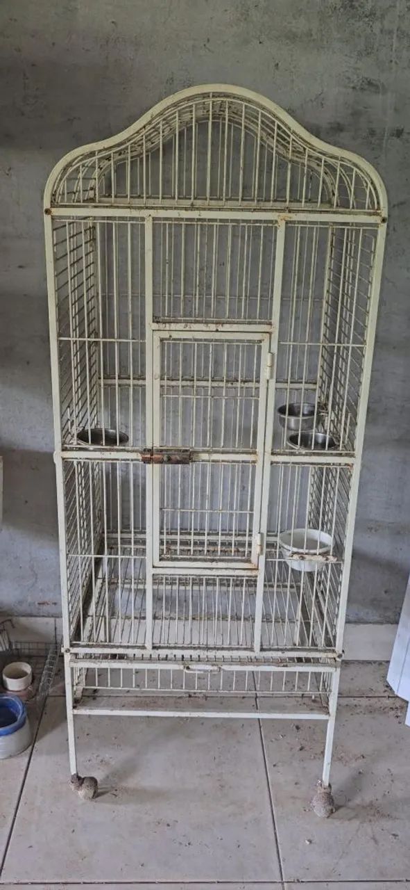 Gaiola pra papagaios  - Foto 2