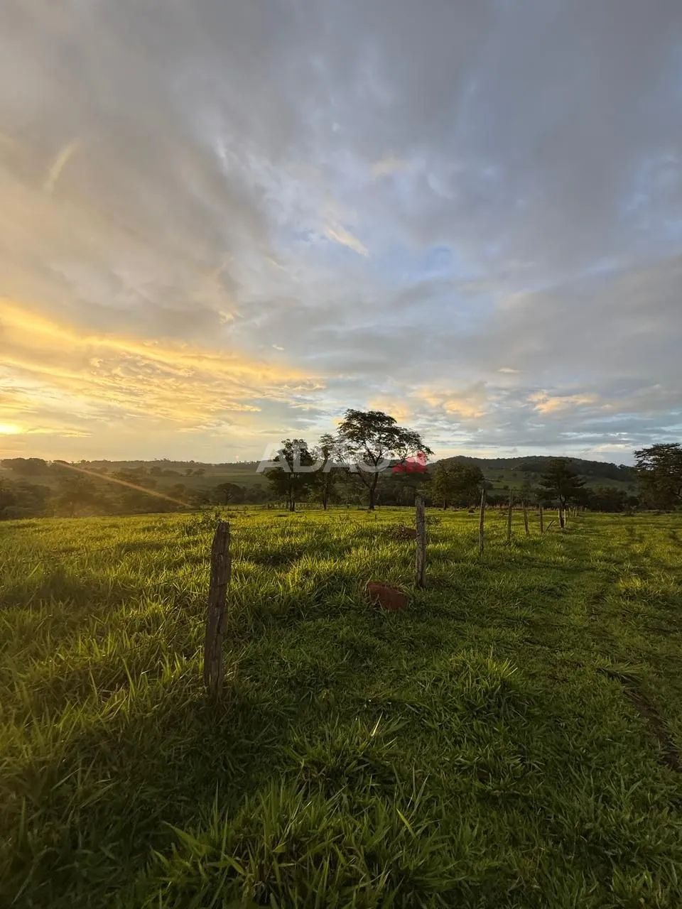 Chácara em Anicuns - Foto 5