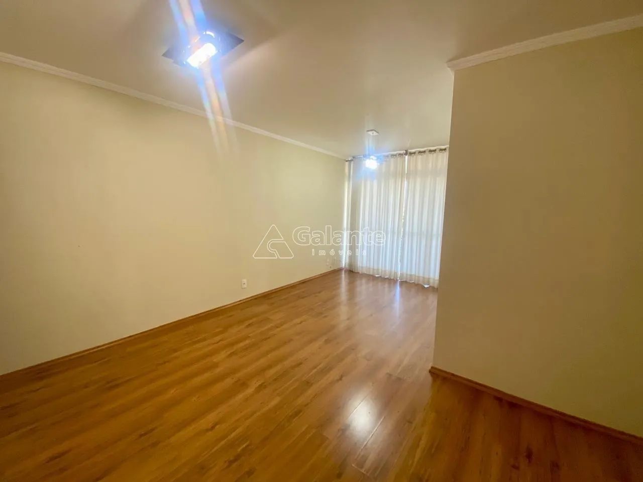 apartamento - Jardim das Paineiras - Campinas - Foto 3