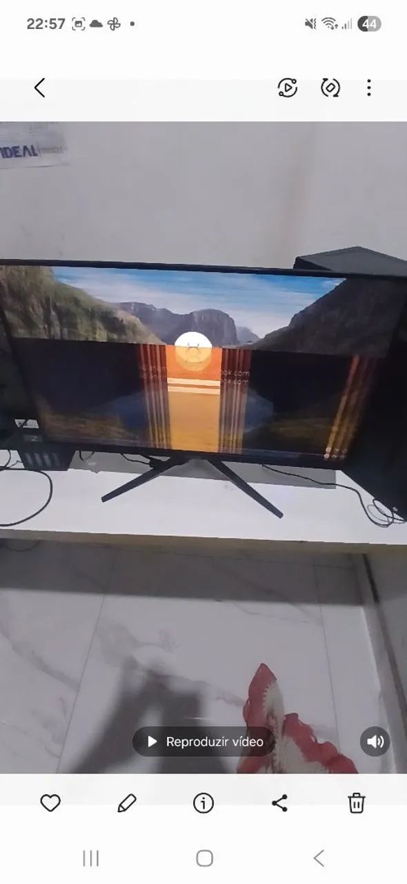 Monitor zannia - Foto 2