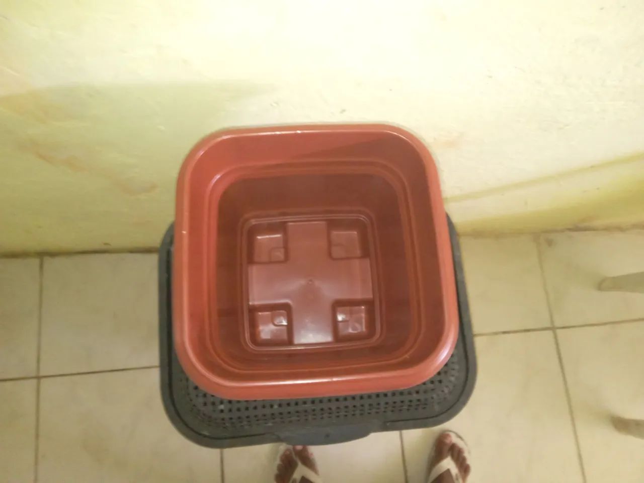 Vaso de planta - Foto 2