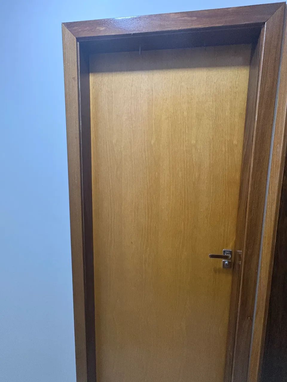 Porta evernizada com vistas 