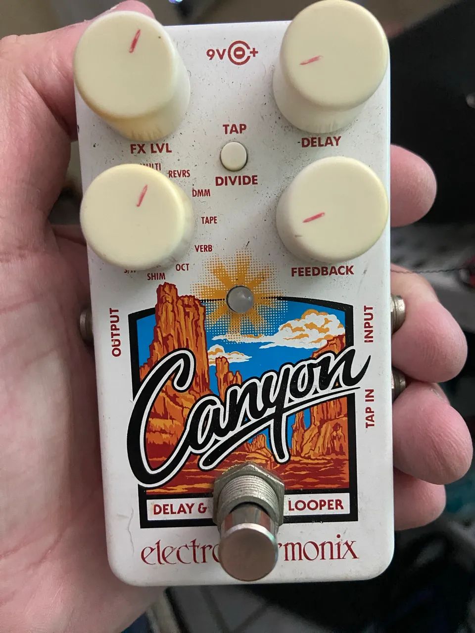 Canyon Delay, Looper e Reverb Electro Harmonix