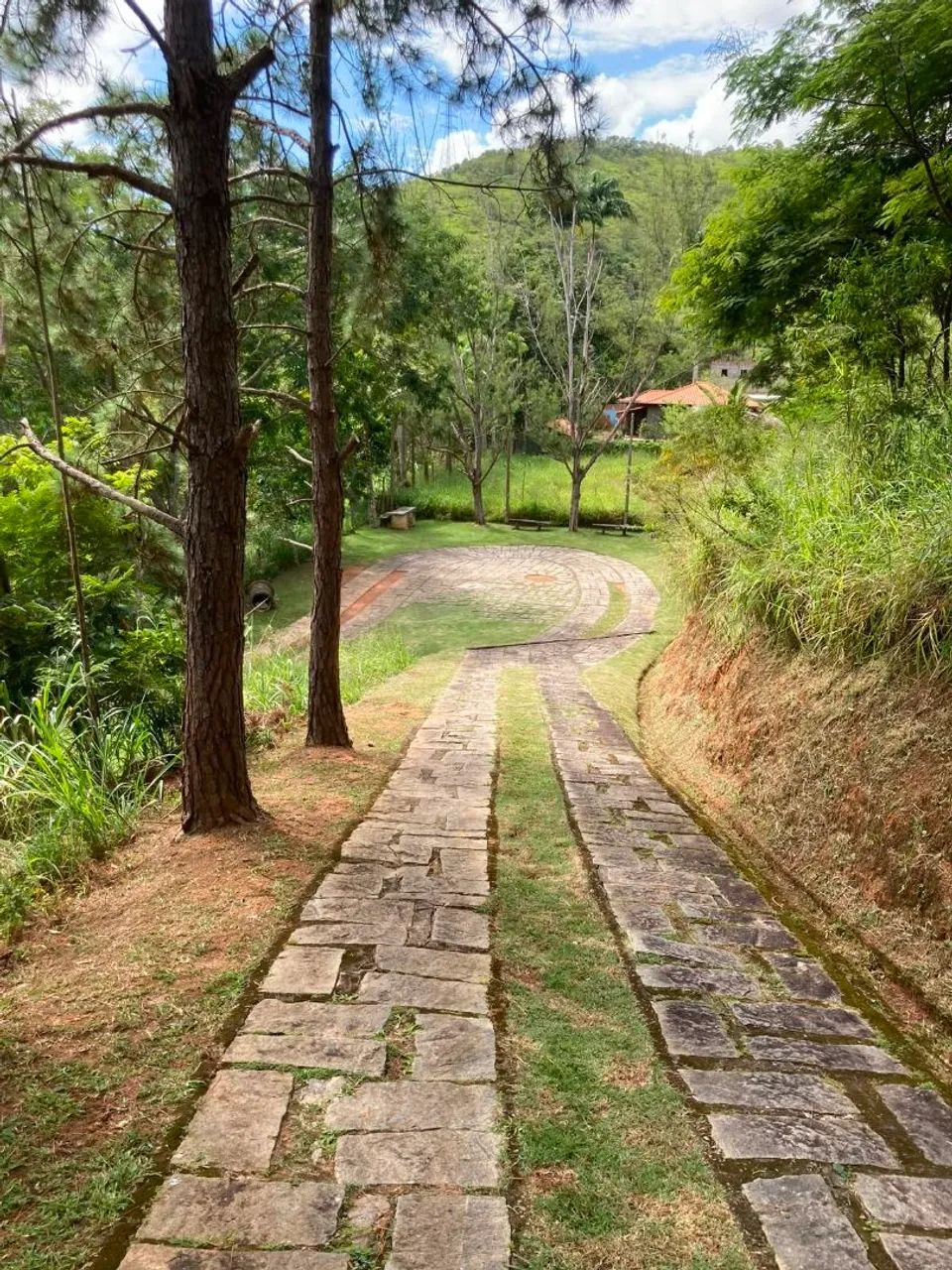 Terreno posse Petrópolis  - Foto 3