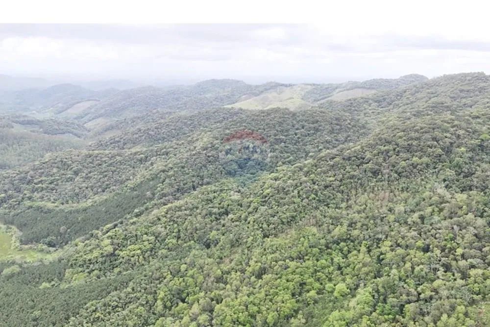 Fazenda N. Sra. de Guadalupe