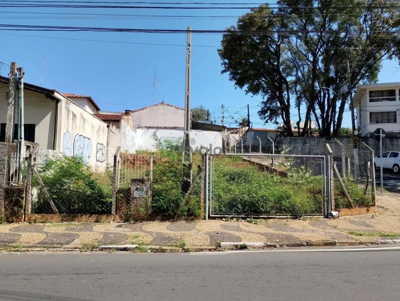 Terreno à venda e para alugar em Campinas, Taquaral, com 342 m² - Foto 2