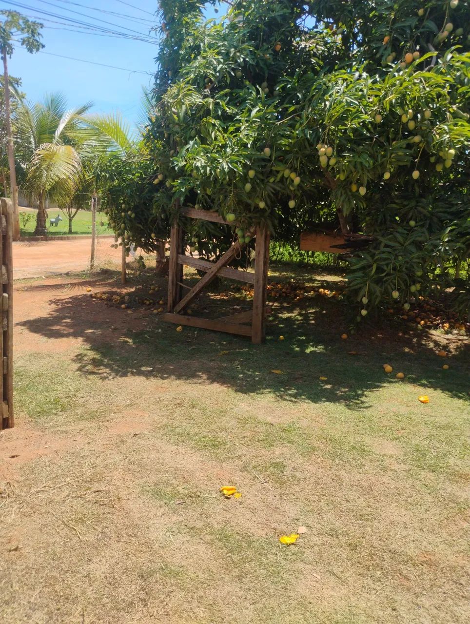 Aluguel de rancho  lago Corumba IV  - Foto 4