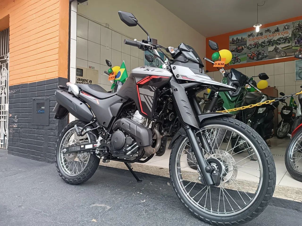Lander 250 2025 cinza  - Foto 3