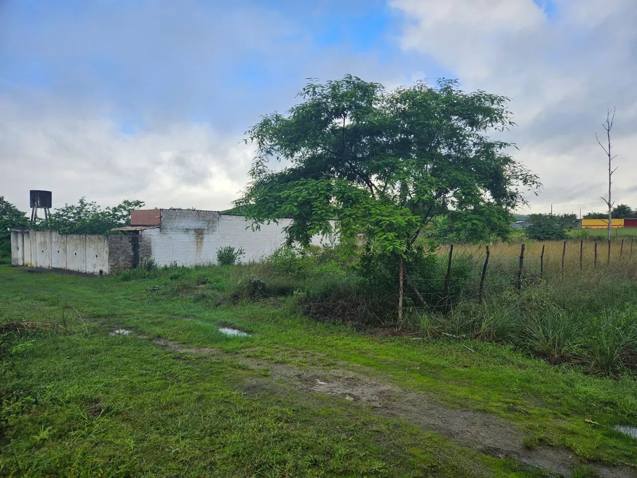 Lotes Parcelado União dos Palmares | Fazenda Sementeira - Foto 5