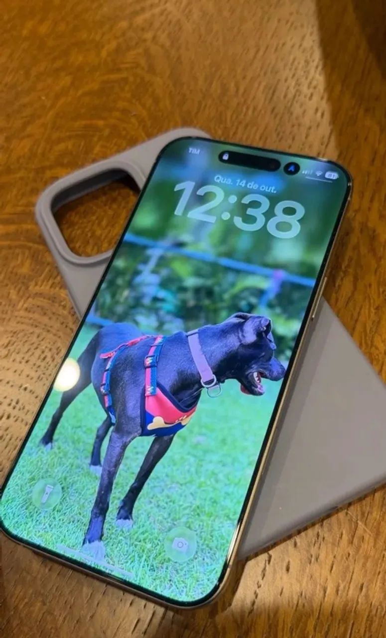 IPhone 16 pro Max 256g Anatel  - Foto 4