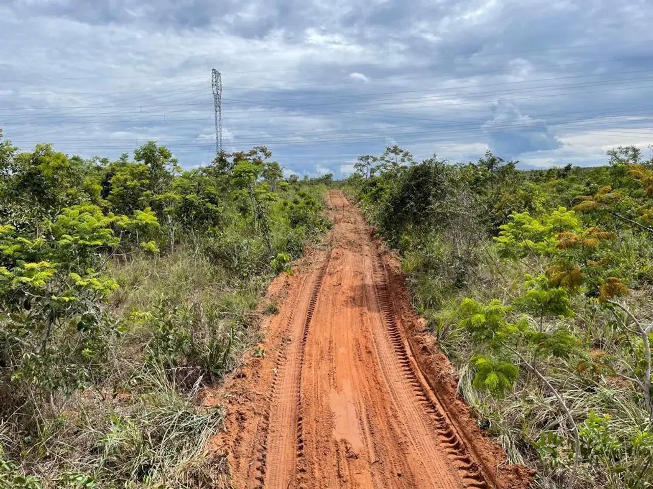 Fazenda à Venda | 2.000 Hectares em Nova Lacerda - MT