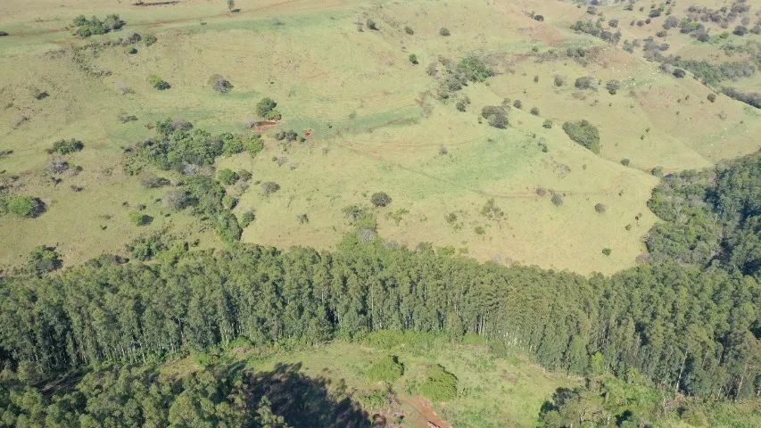 Fazenda  135  alq. oportunidade