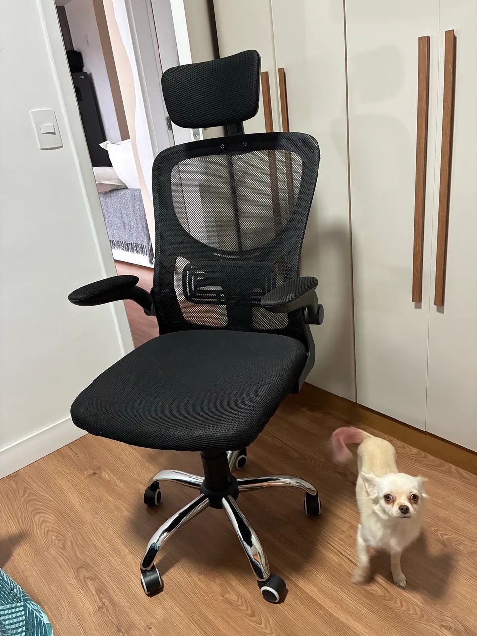 Cadeira ergonômica 