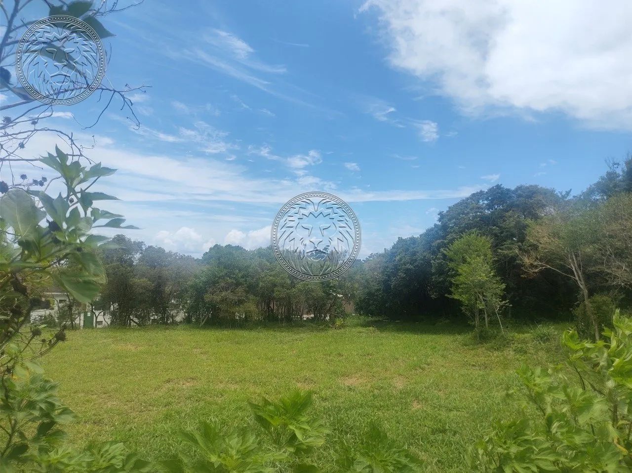 Terreno para locação no Campeche/Florianópolis - Foto 2
