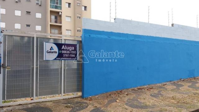 Terreno para alugar com 0 dormitórios em Cambuí, Campinas cod:TE050177