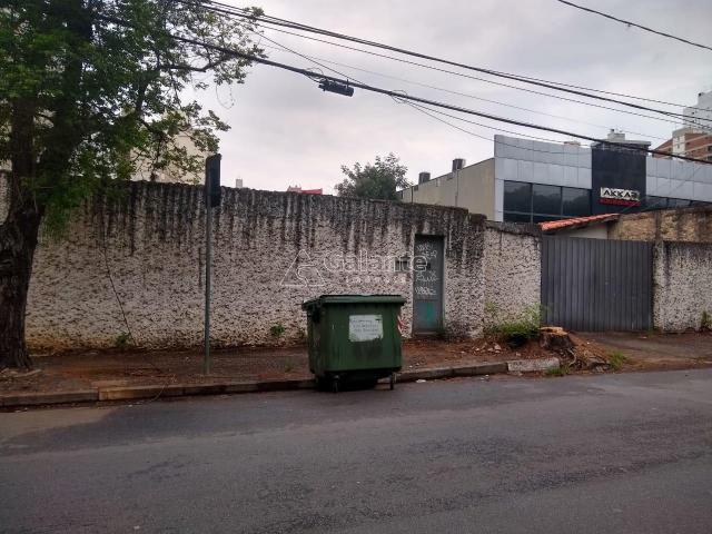 Terreno para alugar com 0 dormitórios em Cambuí, Campinas cod:TE049120