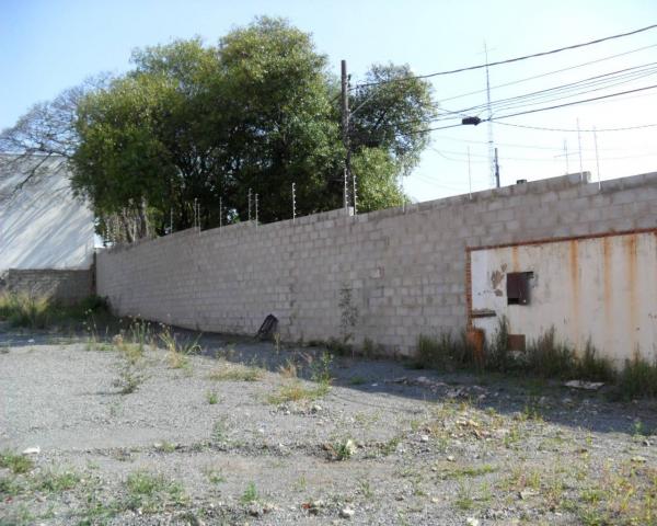 Terreno para alugar com 0 dormitórios em Cambuí, Campinas cod:TE050177 - Foto 7