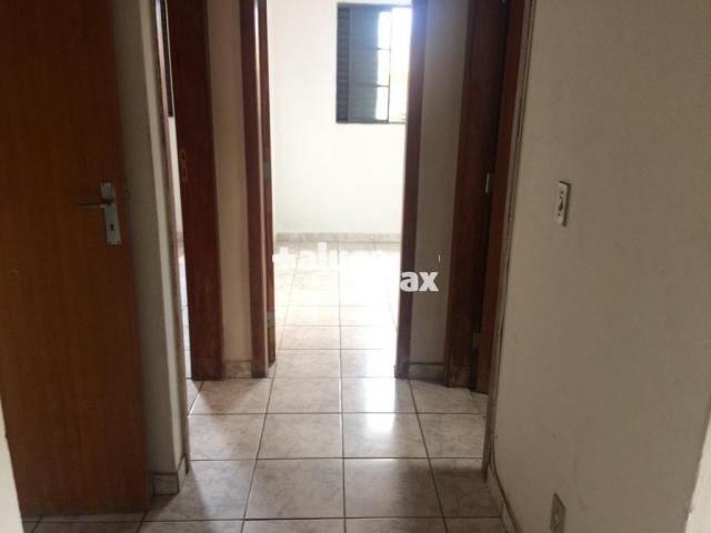 Apartamento para aluguel, 2 quartos, 1 vaga, betânia - belo horizonte/mg - Foto 5