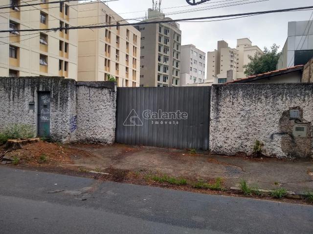 Terreno para alugar com 0 dormitórios em Cambuí, Campinas cod:TE049120 - Foto 2