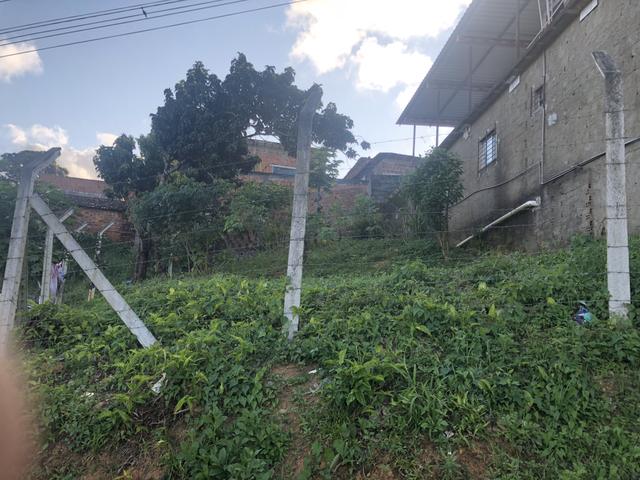 Terreno - Foto 6