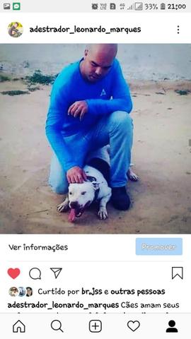 Adestrador de caes - Foto 2