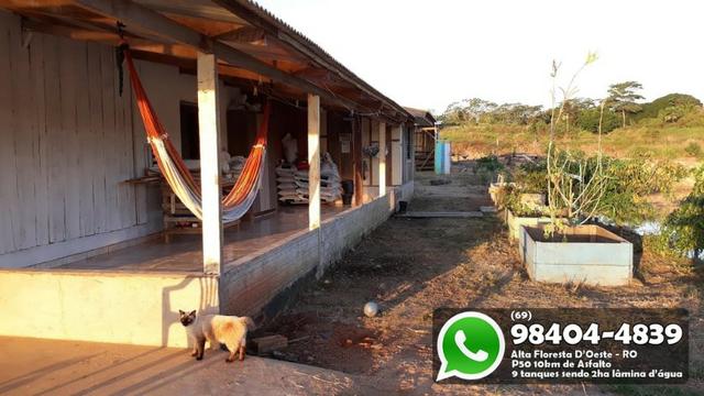 Chácara com 9 Represas no Asfalto em Alta Floresta - Foto 8