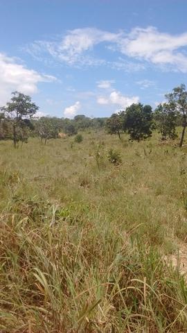 Oportunidades venda de fazenda de 14 alq em Uruaçu GO - Foto 4