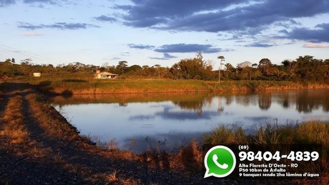 Chácara com 9 Represas no Asfalto em Alta Floresta