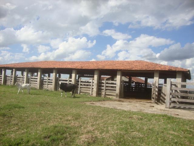 Fazenda 170 Alqueires, Região de Tatuí-Sp - Foto 2