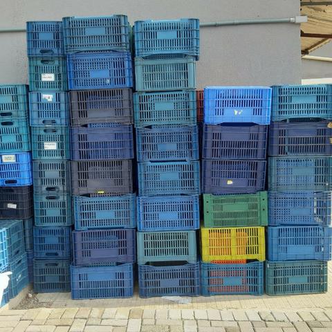 Caixa Agricola Organizadora - Foto 2