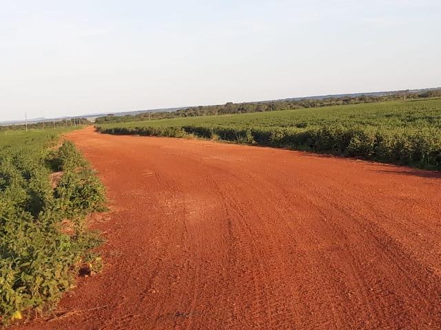 Fazenda 3300 hectares - Foto 3