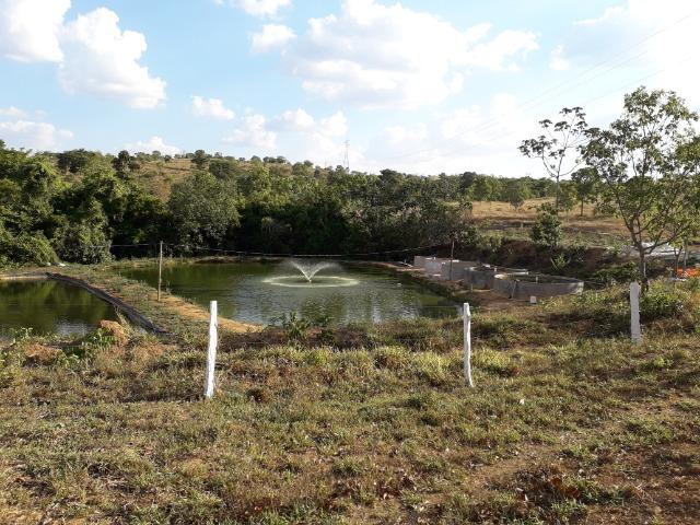 Fazenda à venda ou troca R$ 12 mil o Hectare- Zona Rural - Luziânia/GO - Foto 20