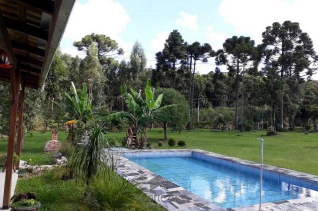 Chácara com 42.350,00m² em Agudos do Sul - Foto 12