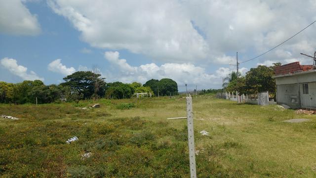 2 Lotes 24x30 58.000, 1 Lote 12x30 29.000, Pitimbu PB.da pra ver o Mar. oferta - Foto 4