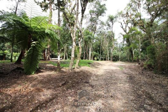 Terreno rural com 4.000 m² no Borda do Campo - Foto 10