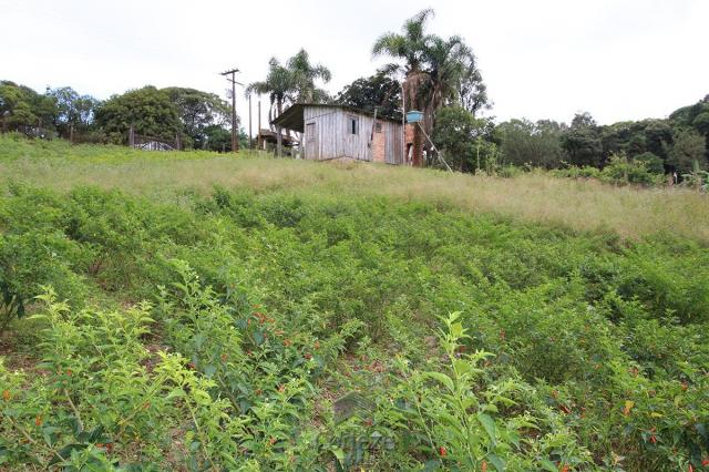 Chácara à venda na Colônia Murici - Foto 9