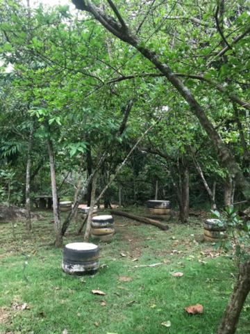 Alugo Chácara em Taquaruçu, Palmas - Tocantins - Foto 11