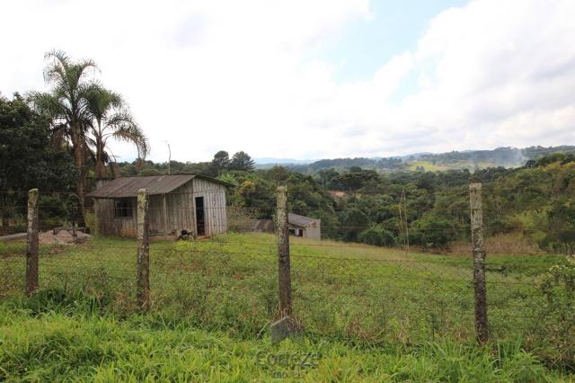 Chácara à venda na Colônia Murici - Foto 2