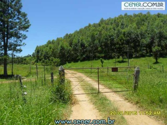 1620/Extraordinária fazenda de 220 ha com 2.000 l/leite dia de porteira fechada - oport - Foto 6