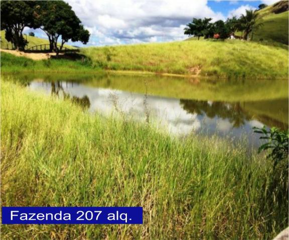 Adquira Já Seu Imovel Rural - Foto 16