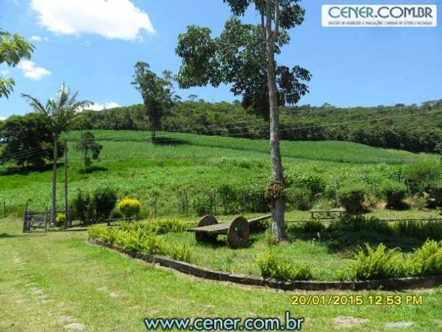 1620/Extraordinária fazenda de 220 ha com 2.000 l/leite dia de porteira fechada - oport - Foto 9