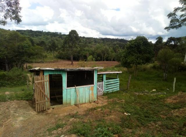 Casa na Lapa-PR - Foto 15