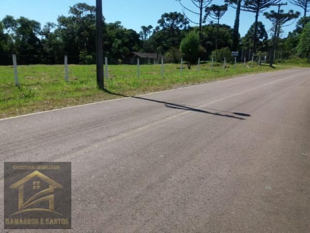 Chácara com 5.000 m² em quatro barras - Foto 4