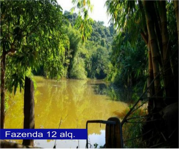 Adquira Já Seu Imovel Rural - Foto 12