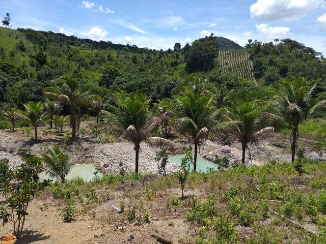 Sítio dos sonhos seu pedaço do Paraíso com 7 hectares por 150 mil - Foto 20