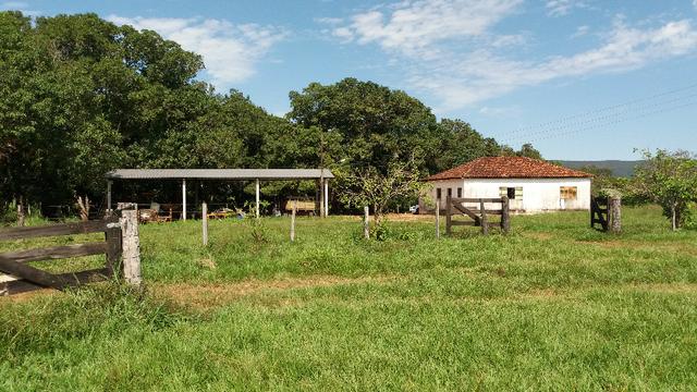 (Fazenda com 297ha em Mato Grosso) no município de Alto Paraguai(MT-409 KM35)